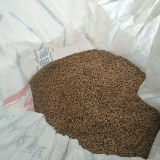 兴化市嘉花水稻 晚稻 