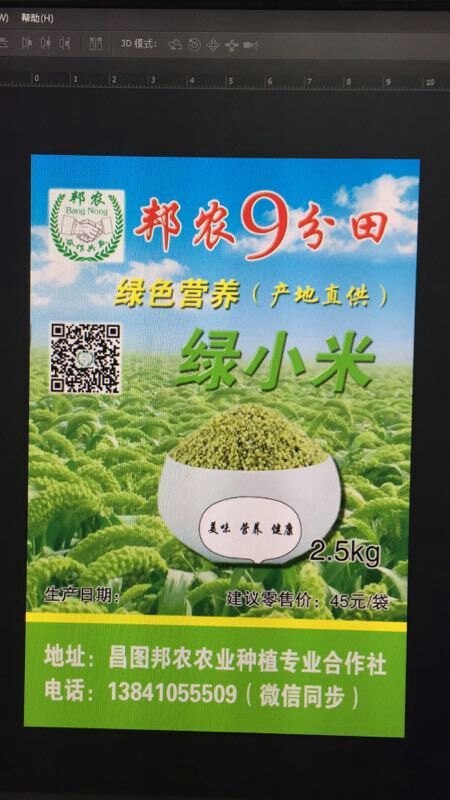 昌图县绿小米