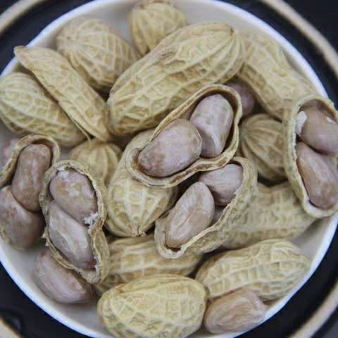 漳平市蒜香花生 6-12个月
