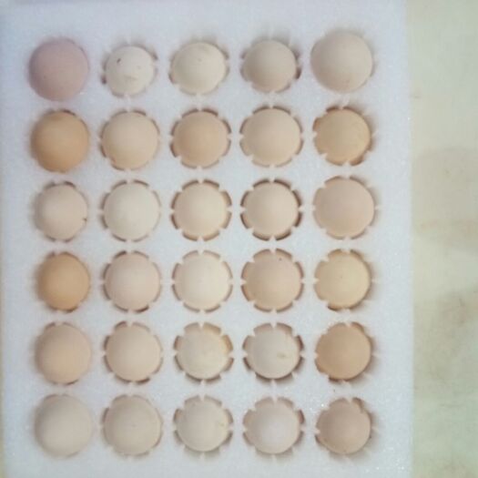 罗山县土鸡蛋 食用 箱装 