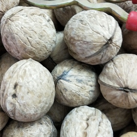 薄皮核桃  新疆33核桃最老的品种，最好的口味