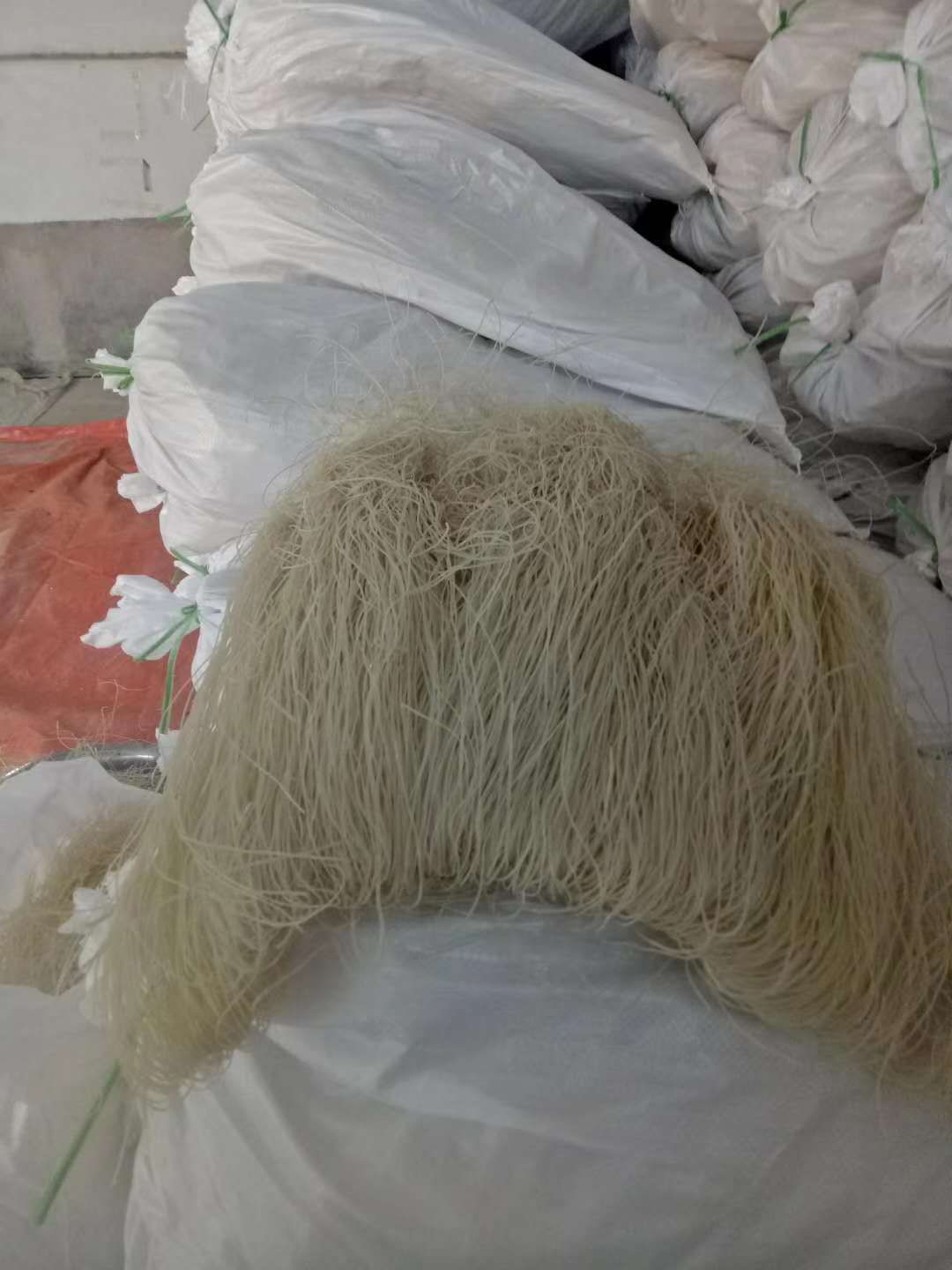 غ 