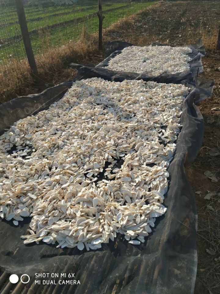中药材山药  铁棍 无硫 天然晾晒铁棍山药营养良好，价值