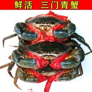 诏安县锯缘青蟹 公蟹 3.5-4.0两