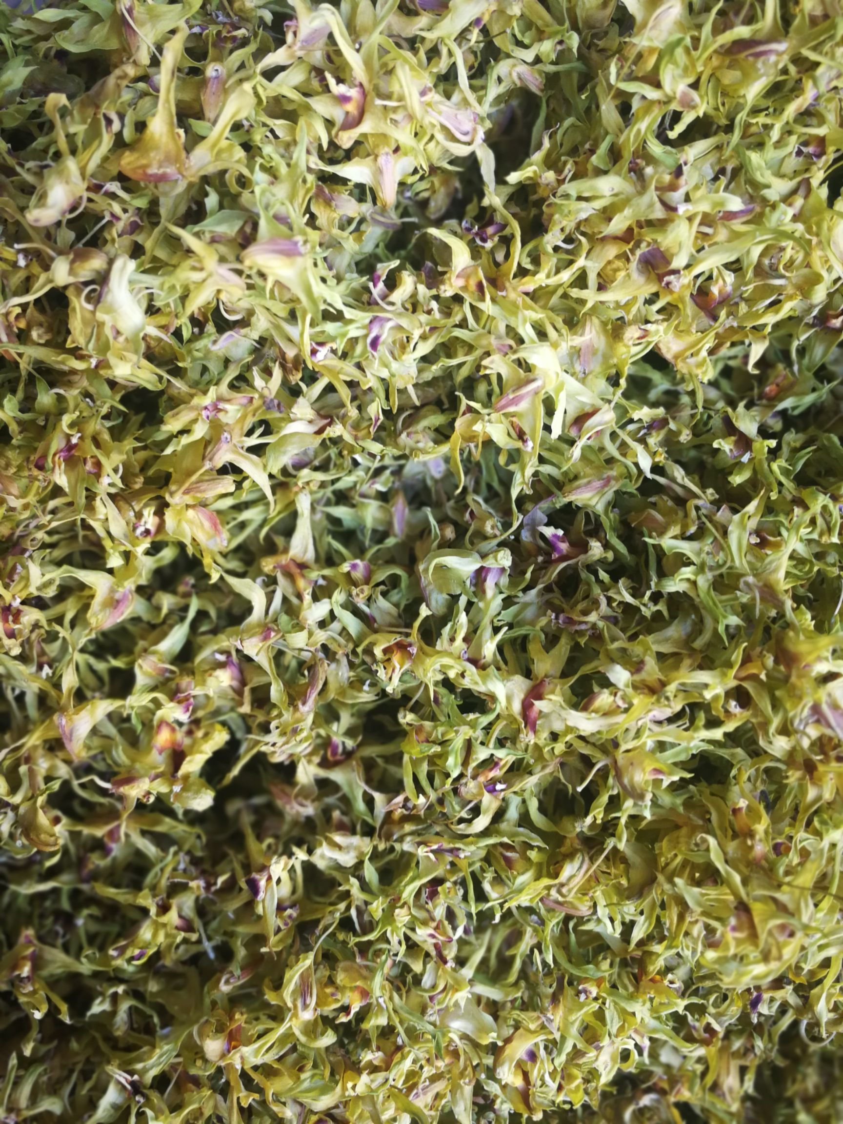 铁皮石斛花