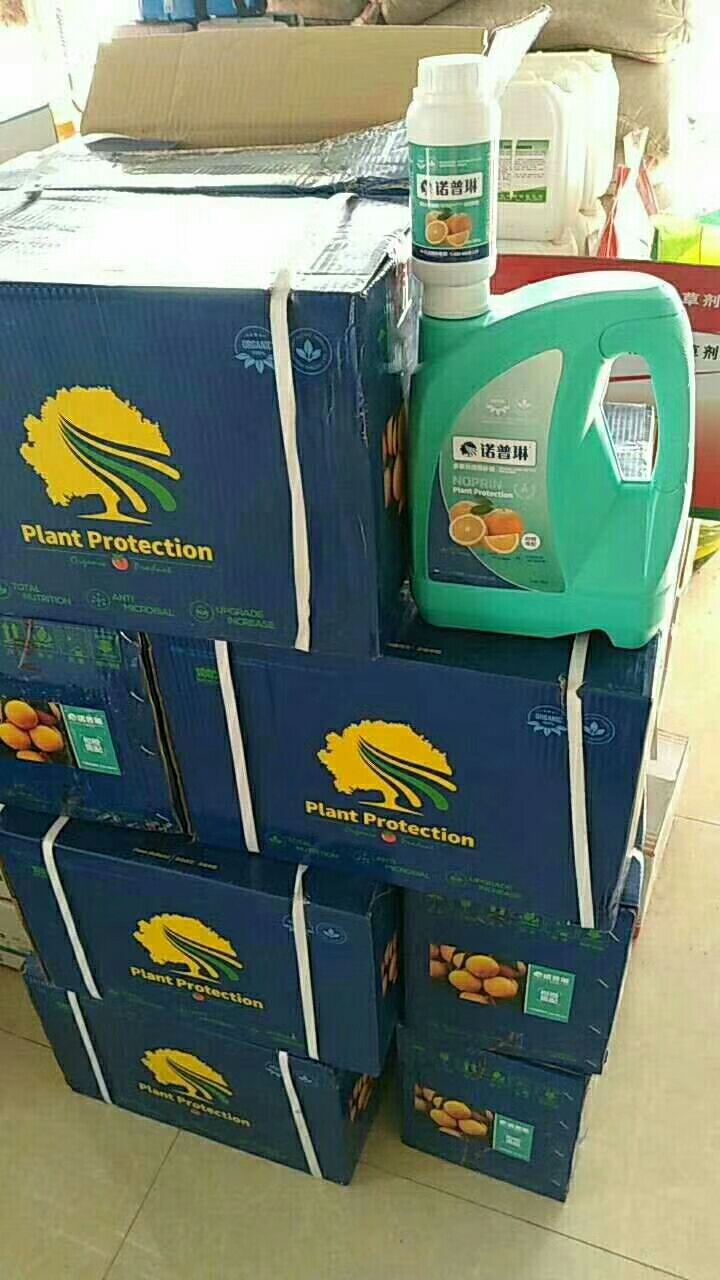 水溶肥  柑橘专用