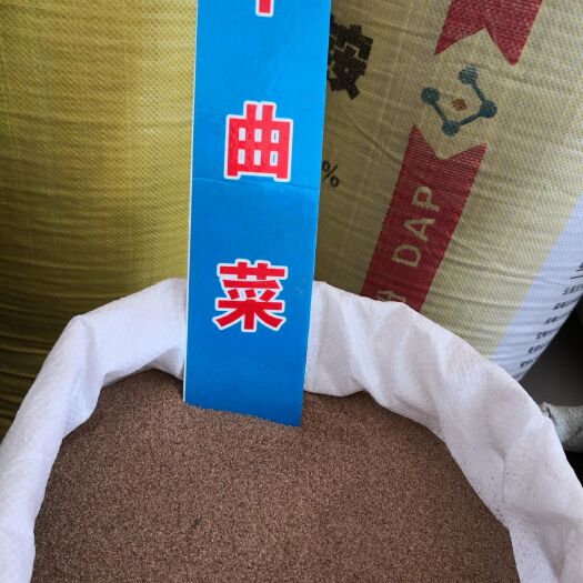 千屈菜种子