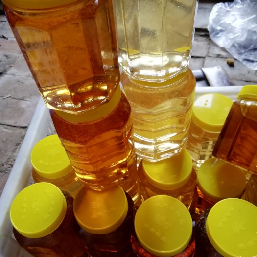 滨州土蜂蜜 枣花蜜，槐花蜜