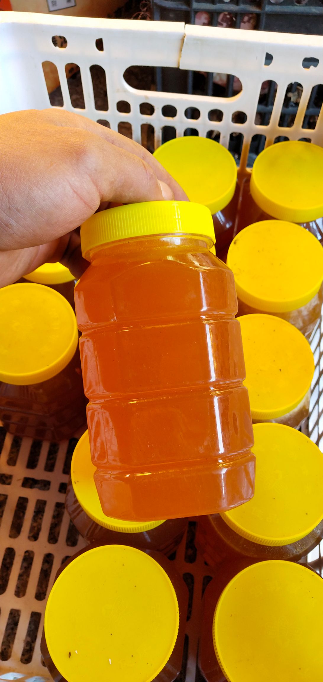 土蜂蜜价格150元一(土蜂蜜价钱) 土蜂蜜价格150元一(土蜂蜜价钱)