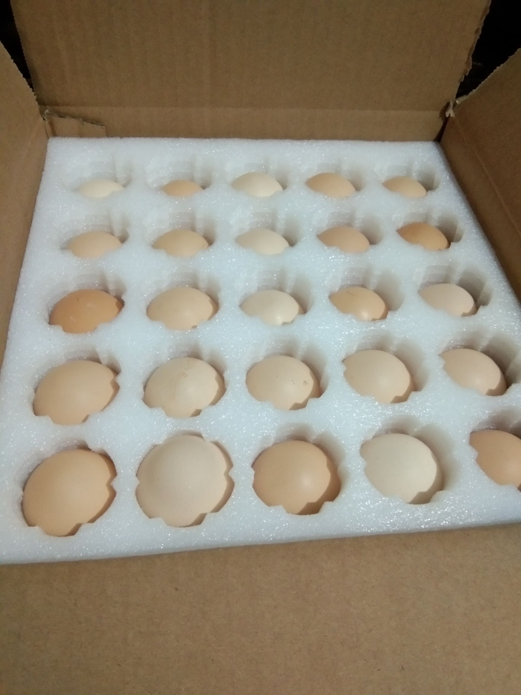 土鸡蛋 食用 箱装 
