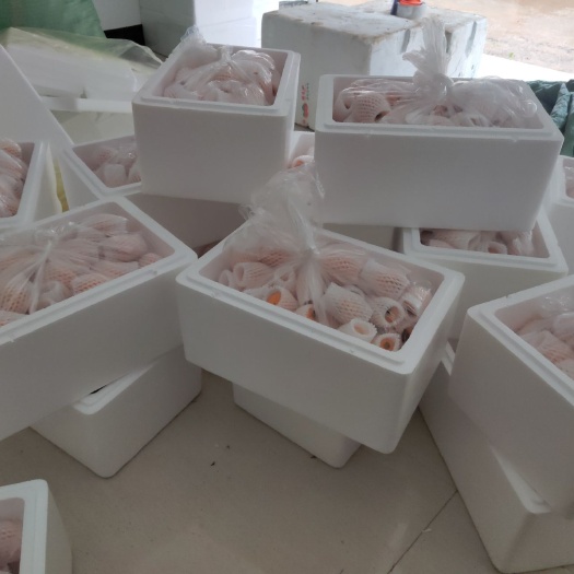 蒙自市蒙自枇杷 0.7 - 1两 