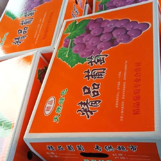 晋州市巨峰葡萄 5%以下 头茬 0.8-1斤
