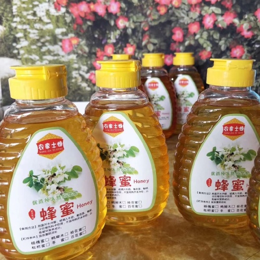 高州市龙眼蜜 塑料瓶装 2年 95%以上 