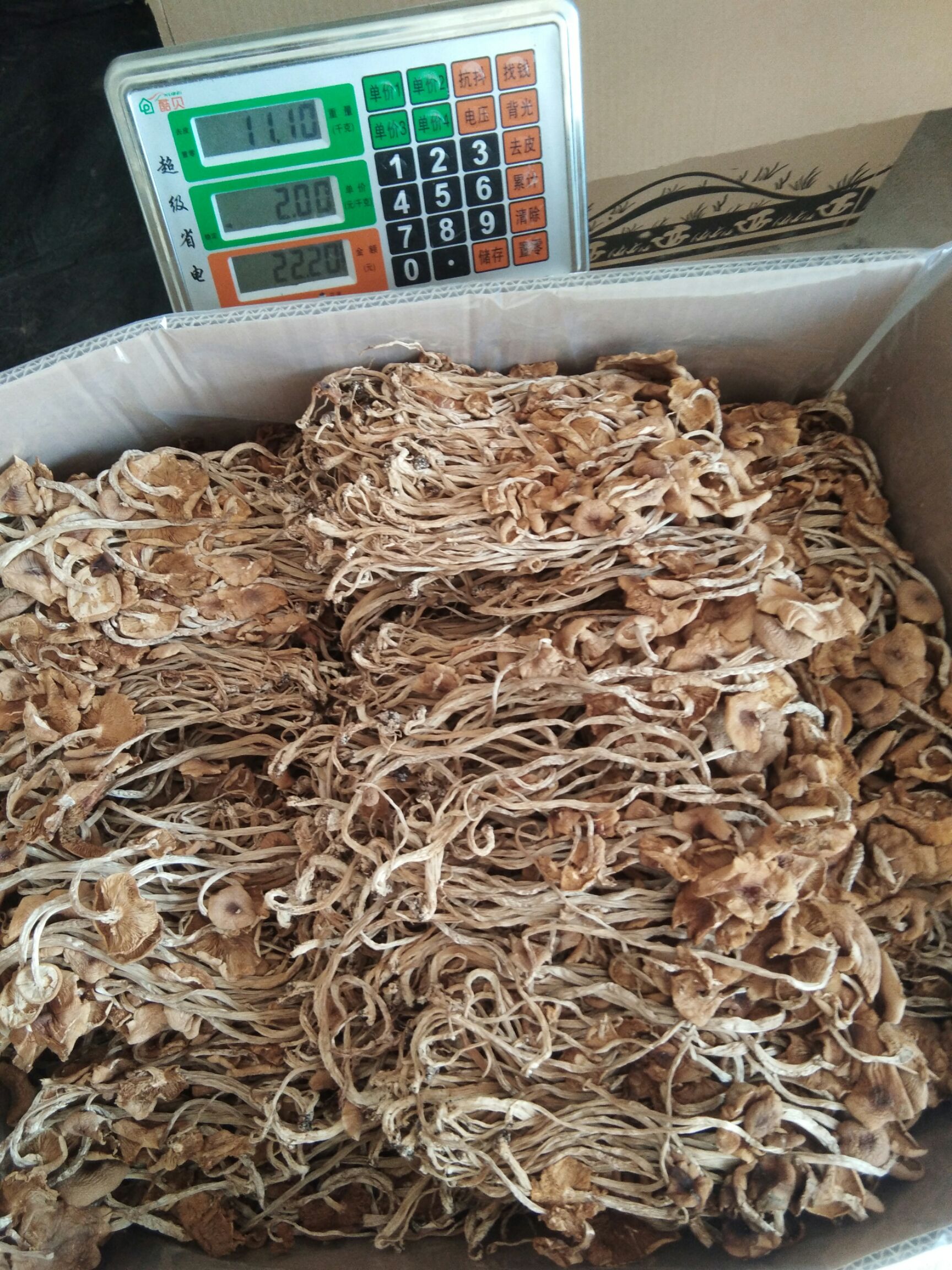 23年新货茶树菇干货开伞茶树菇香嫩农家自产江西广昌茶薪菇散装