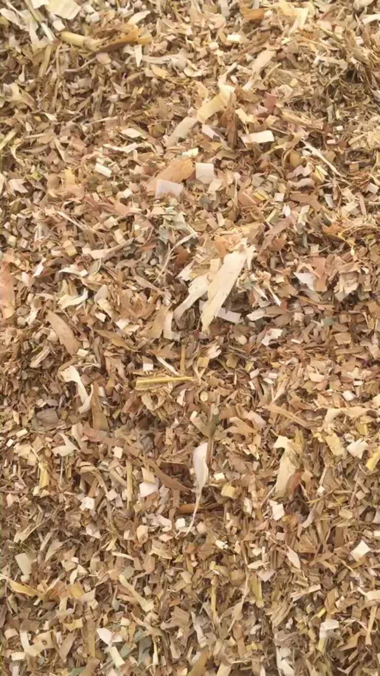 玉米秸秆  干玉米秸揉丝切段秸秆