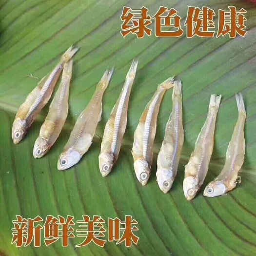 广州边鱼干 