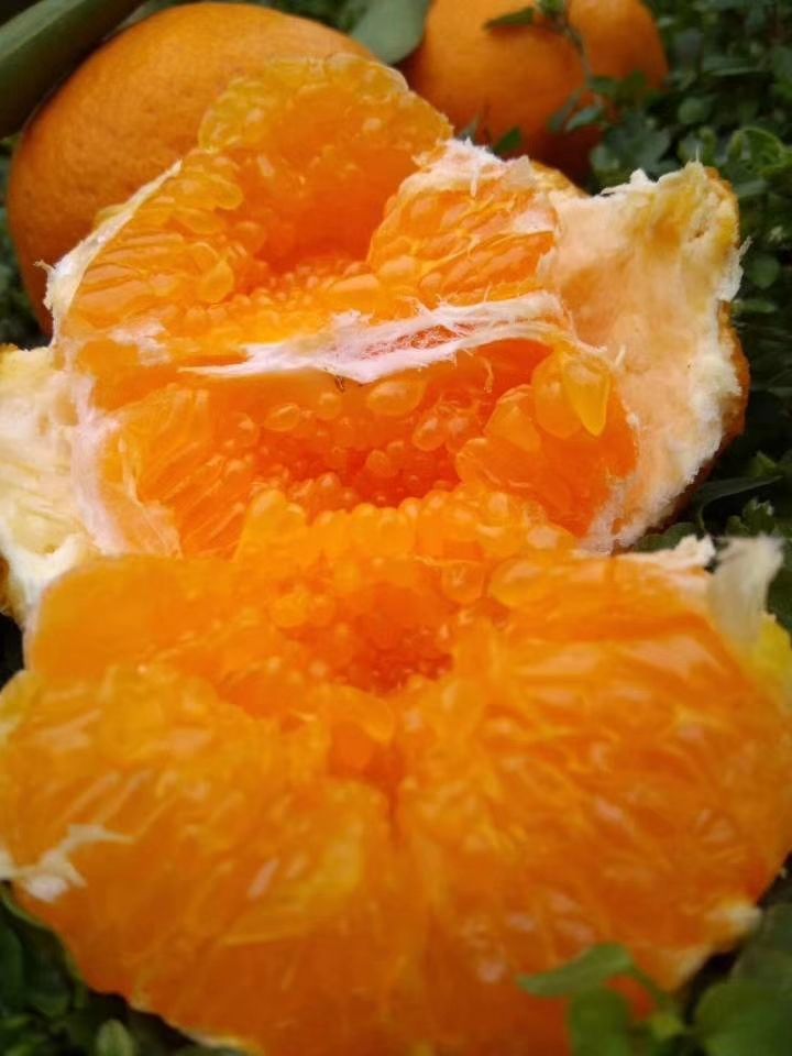 耙耙柑 7 - 7.5cm 3两以上 