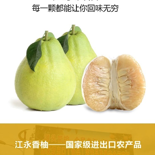 江永香柚 1.5斤以上 