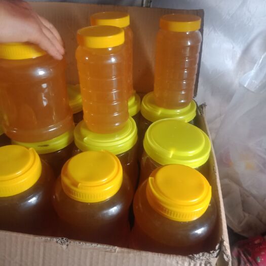 昭苏县百花蜜 塑料瓶装 1年  