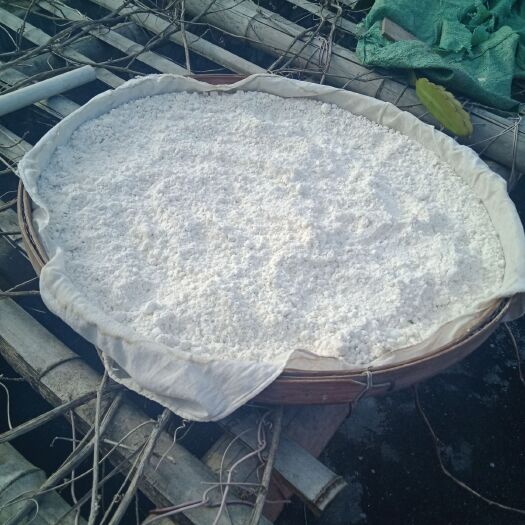 寻乌县芭蕉芋淀粉 