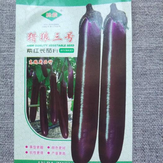 猎狼三号茄子种子耐寒耐湿热抗病性强紫红色高温季节不变色