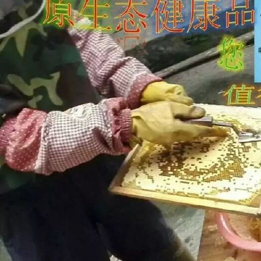 桂平市百花蜜 塑料瓶装 2年以上 98% 