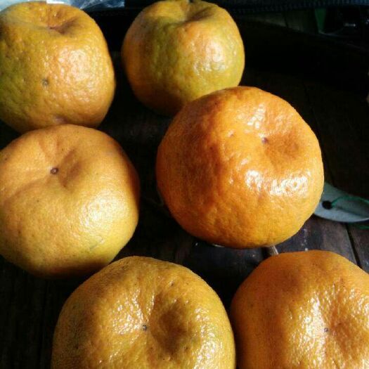 衢州椪柑 7 - 7.5cm 2 - 3两 