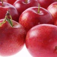 平邑县红色之爱苹果苗 0.5~1米 