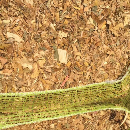 玉米秸秆  干玉米秸揉丝切段秸秆