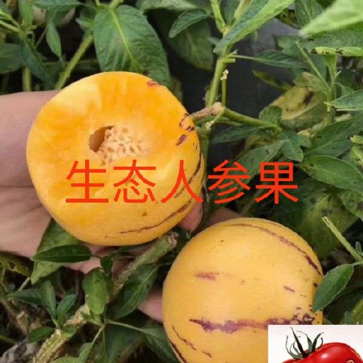 圆果人参果 <2两