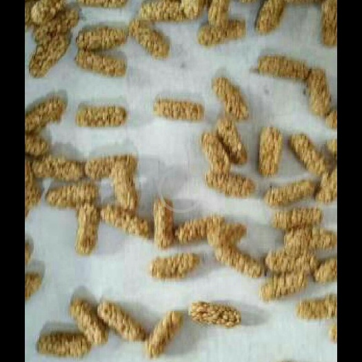 鸡泽县坚果燕麦酥 6-12个月 