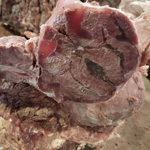 牛腱子肉 熟肉 