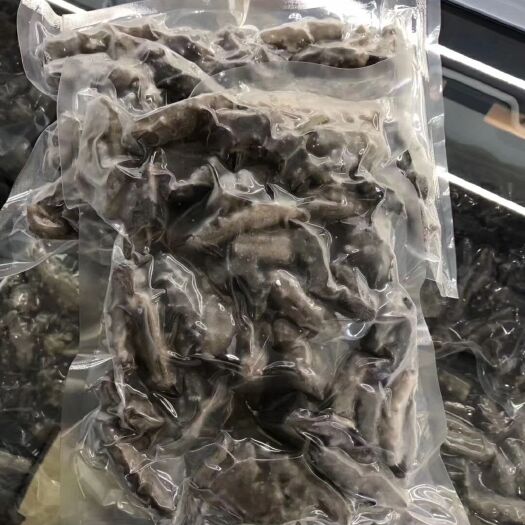 莱州市大连海参 