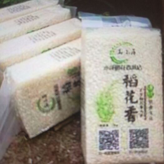 白城 稻花香大米 一等品 晚稻 粳米 