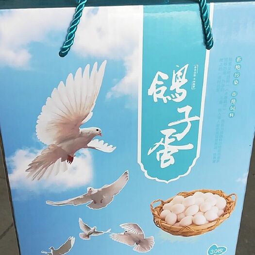 曹县肉鸽蛋 食用 礼盒装 