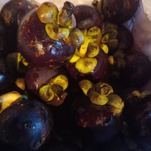 重庆市 泰国4a山竹 适合自己吃  专卖店质量