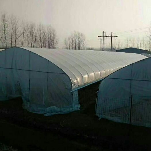 沭阳县养殖大棚 种植棚，养殖棚