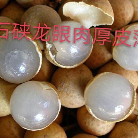 灵山县 正宗广西灵山石硖龙眼苗，原土球发货，成活率更高