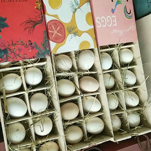 顺平县土鸡蛋 食用 散装 