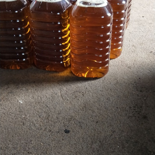 磐安县白花茶山茶油 