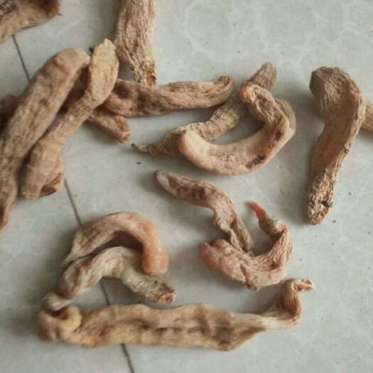 岳西县乌红天麻 