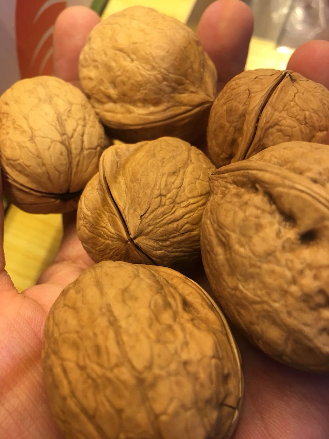 新疆核桃 
