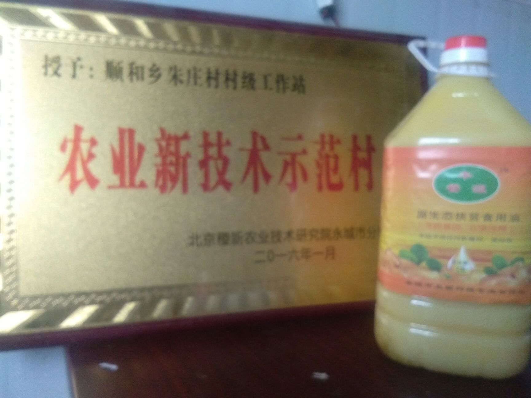 熟榨纯花生油 