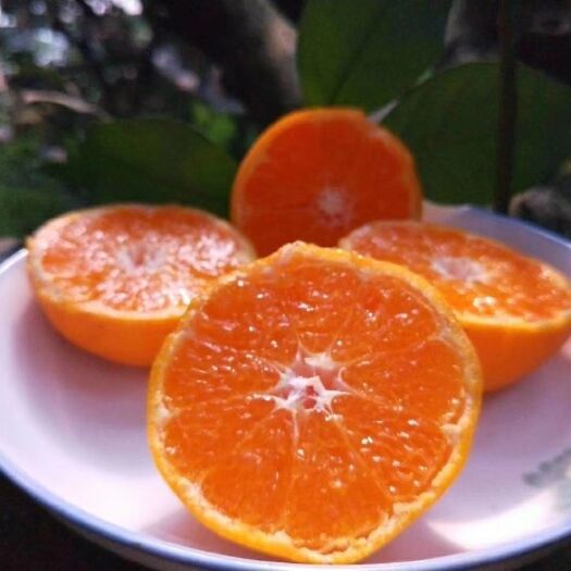 蒲江县耙耙柑 7 - 7.5cm 3两以上 