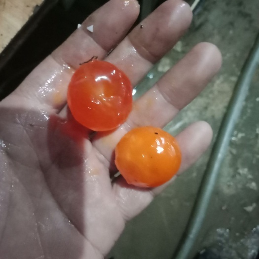 丰县烤鸭蛋 食用 散装 