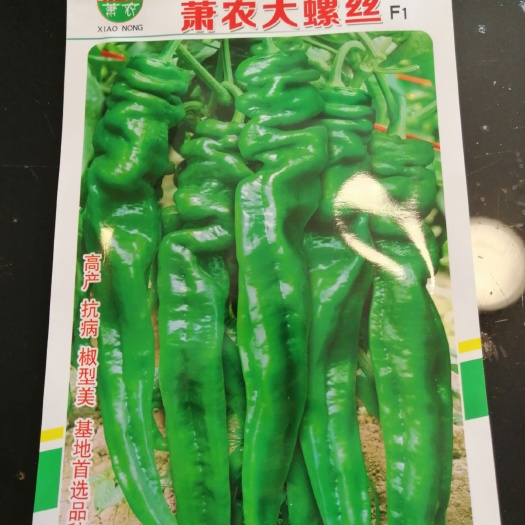 萧县螺丝椒种子 杂交种 ≥85% 