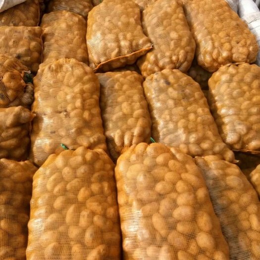 荷兰15  内蒙土豆黄皮黄心，品种齐全质优价廉