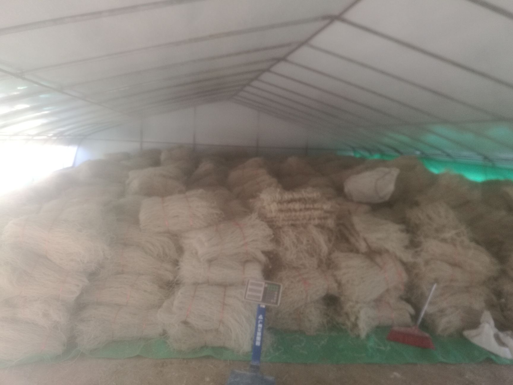 长垣市红薯地瓜粉 