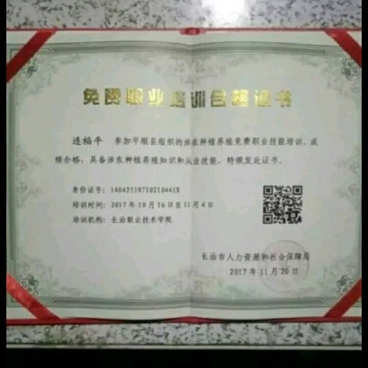 平顺县大红袍花椒 二级 干花椒 