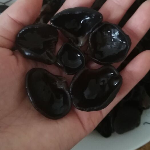 尚志市黑木耳 干木耳 一级